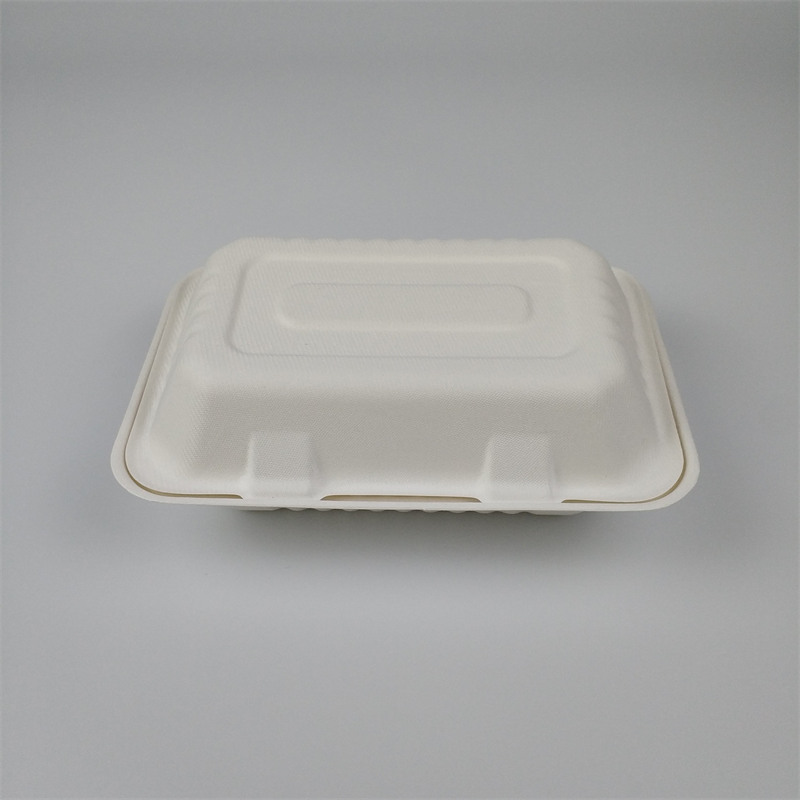 Biodegradable Tableware Togo Boxes for Food 2 Compartments - China