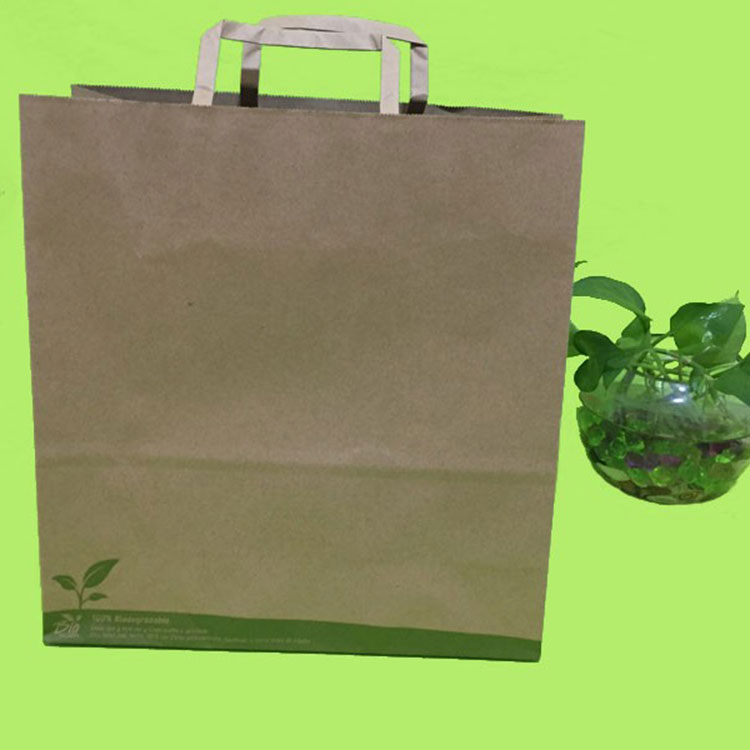 Printing Paper Bag With Paper String