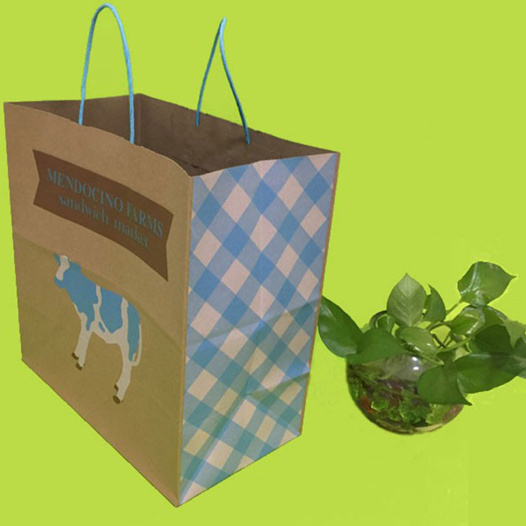Printing Paper Bag With Paper String