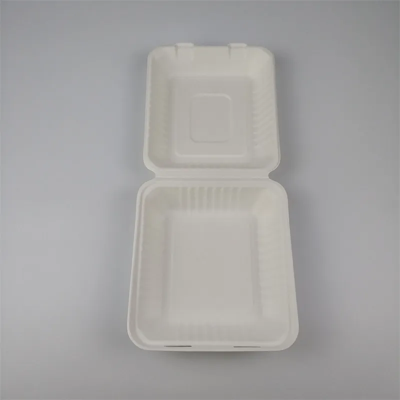 cukrová třtina bagasse to go box