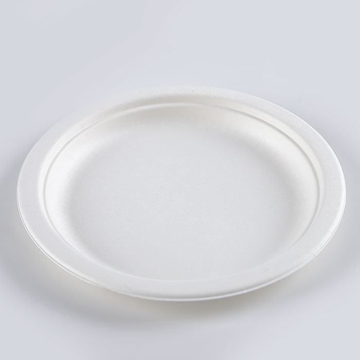 Fiber Pulp Bagasse Tableware Plates