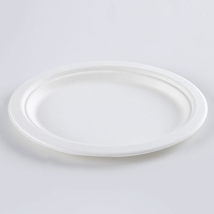 Biodegradable And Compostable Small Oval Plate