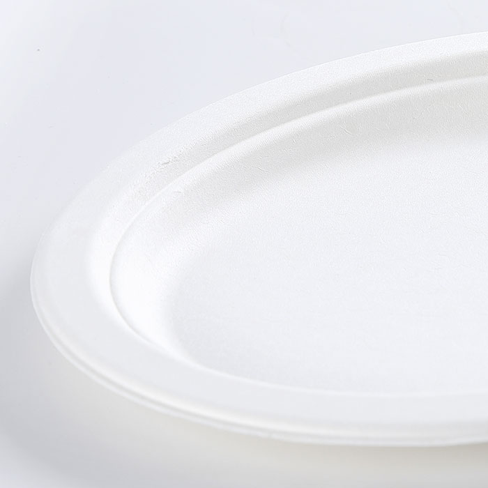 paper pulp oval plates