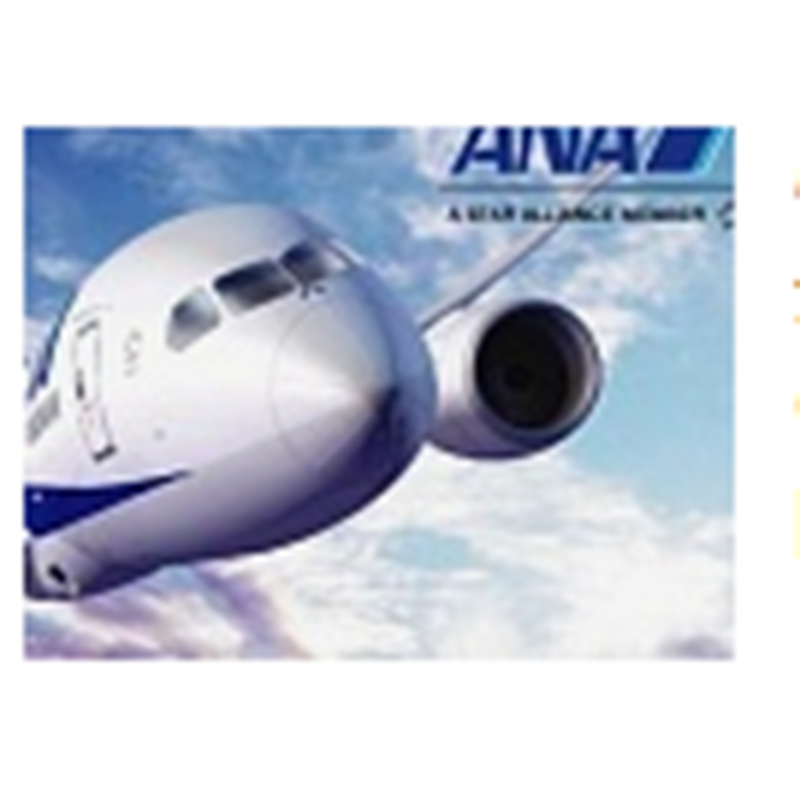 ANA Nippon Airways guztiak