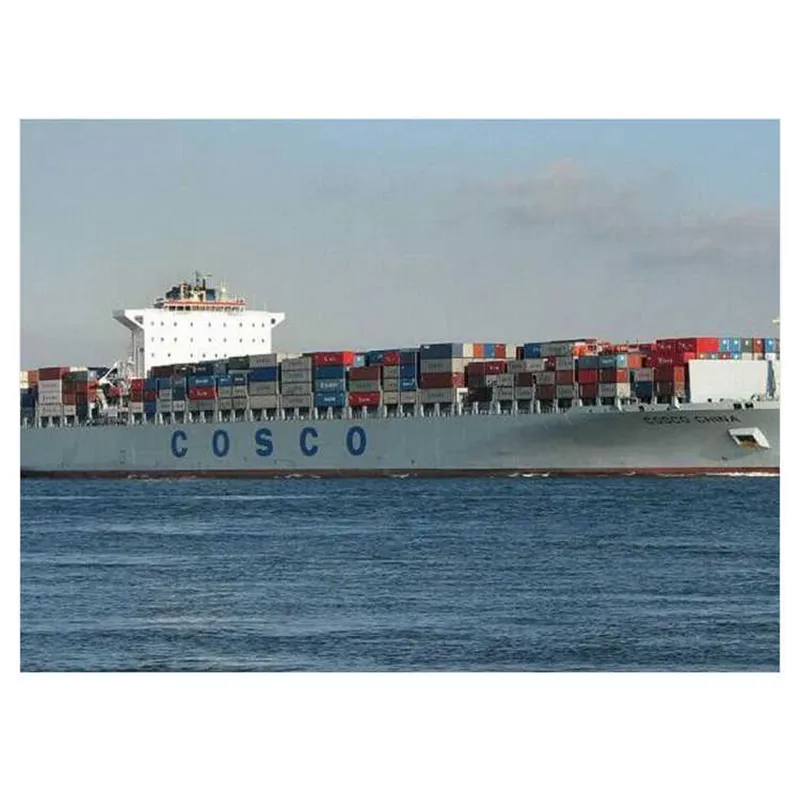 Sea Freight From China to Pointe Noire Congo