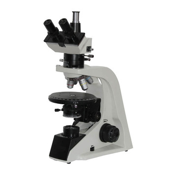 Microscopio 1000X
