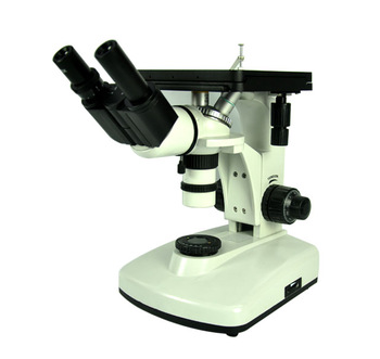 1250X mikroskopas