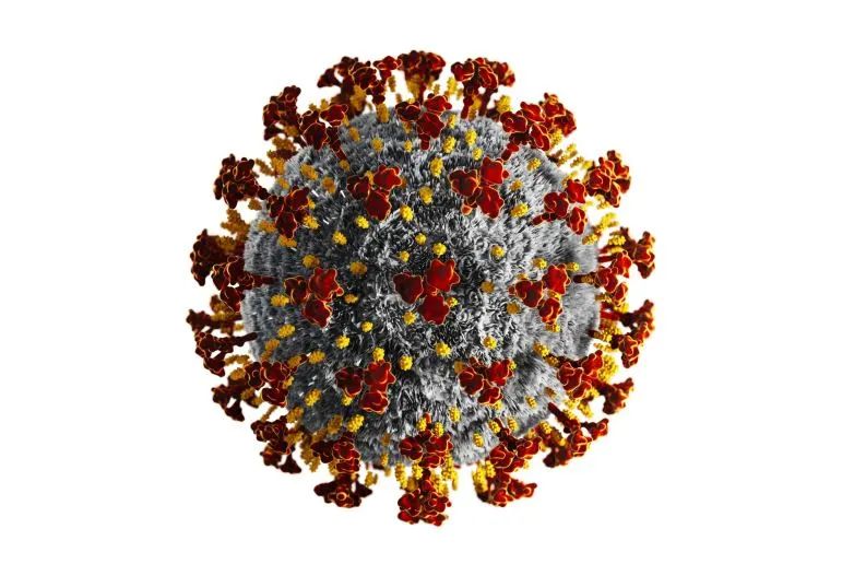 Ang mga siyentipiko ng Russia ay natagpuan ang isang pangunahing kahinaan ng coronavirus