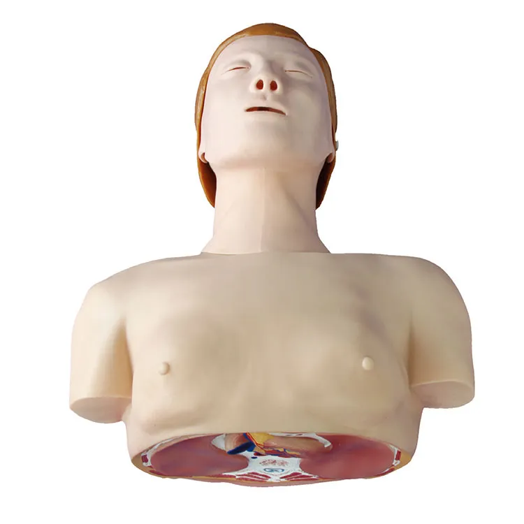 Grundlæggende CPR-træningsmodel