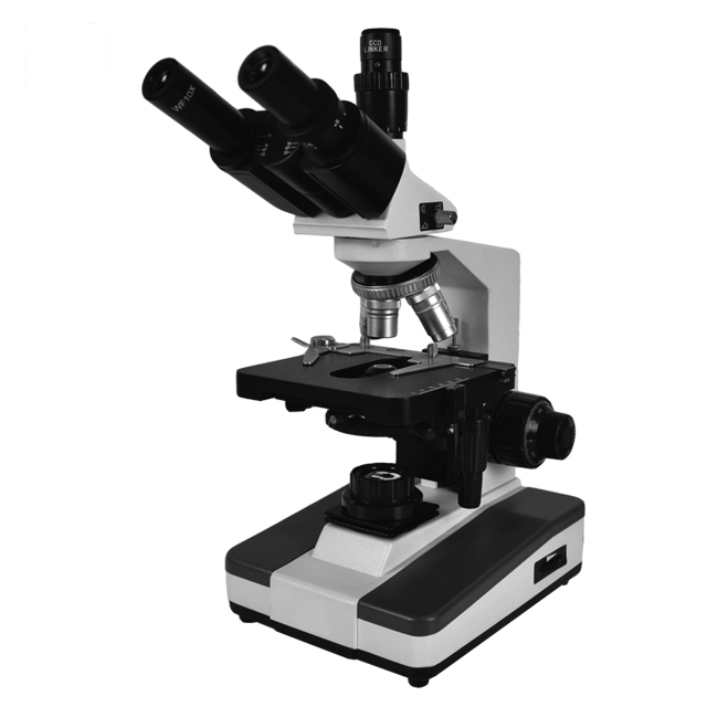 Zložený mikroskop