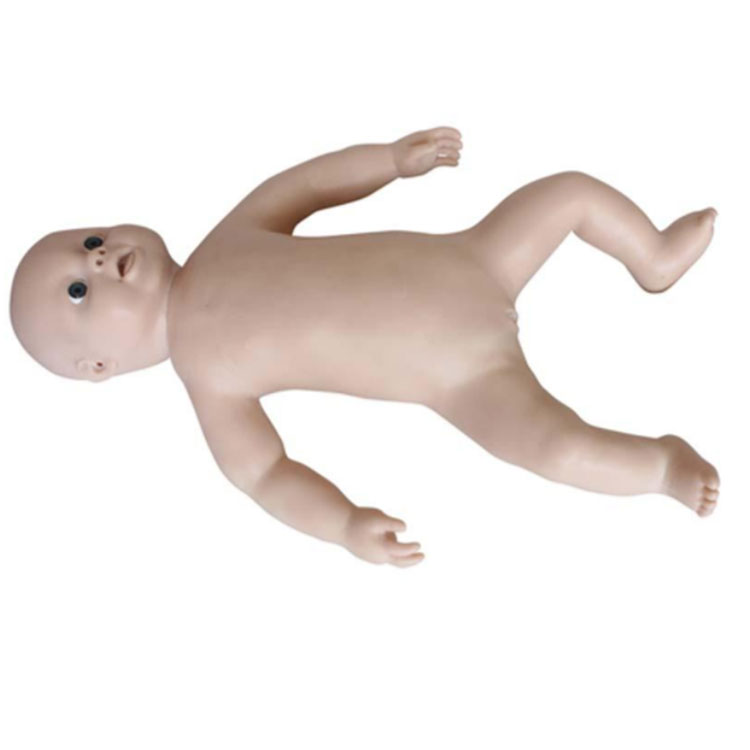 Model Penjagaan Bayi Baru Lahir
