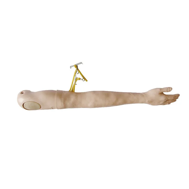 IV Training Arm Model