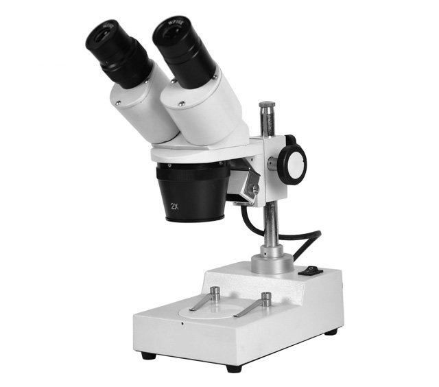 LED Stereo Microscope - 2 