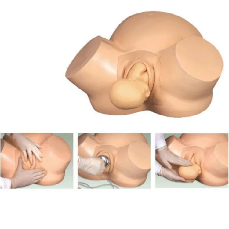 Midwifery Training Simulator Model