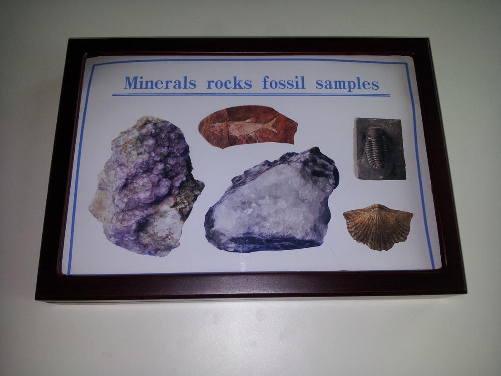 Minerals نمونه های فسیلی را سنگ اندازی می کند - 1 