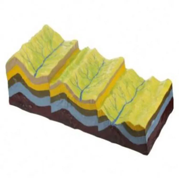 Model Of Fold Structure