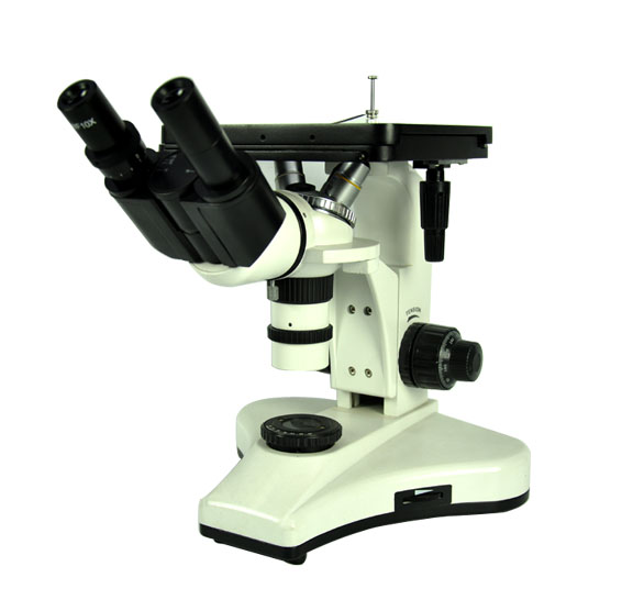 Ekran mikroskopu - 2