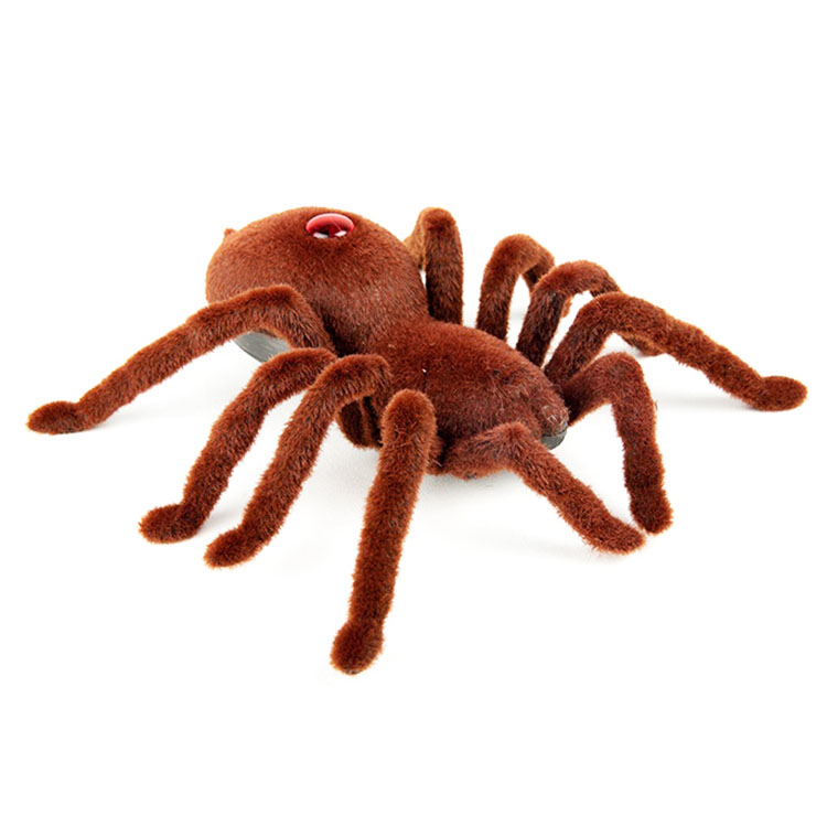 Simulasi Fluffy Spider