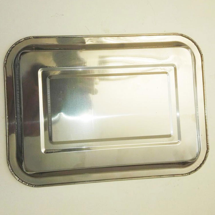 Stainless Dissection Tray - 5