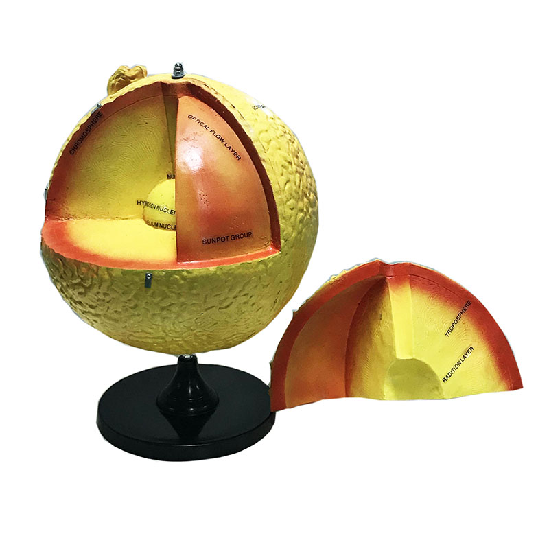 Sun Globe Model