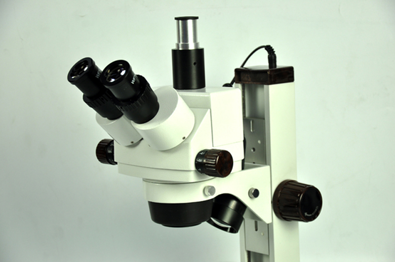 Στερεοφωνικό μικροσκόπιο ζουμ - 1 