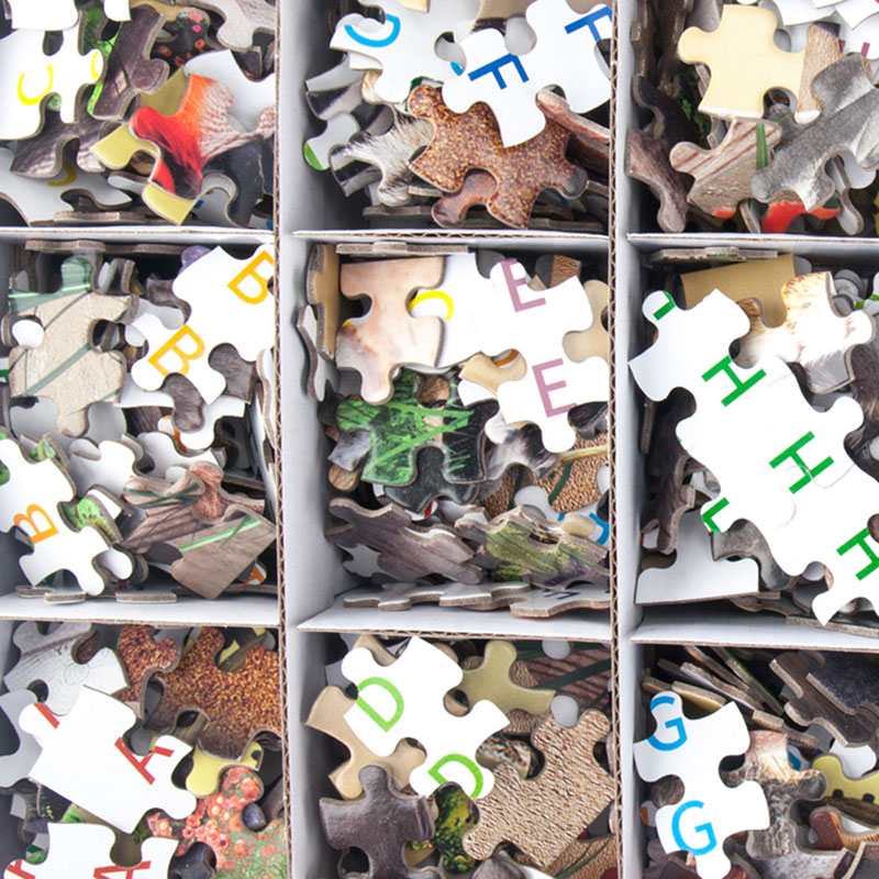 လူကြီးများအတွက်စျေးအနိမ့် Jigsaw Puzzles 1000 Pieces