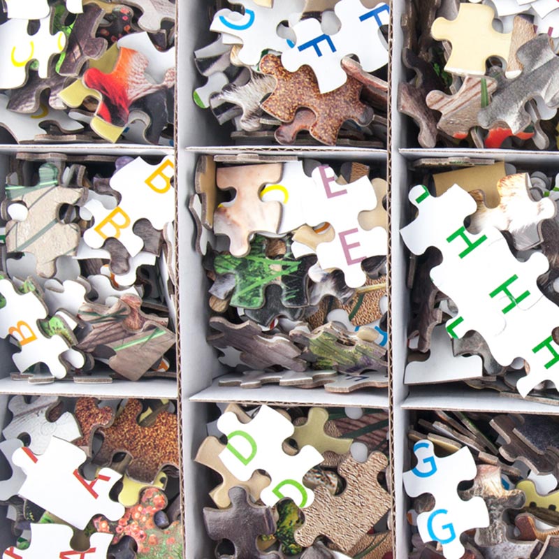 Puzzels voor volwassenen 1000-delig gemaakt in China