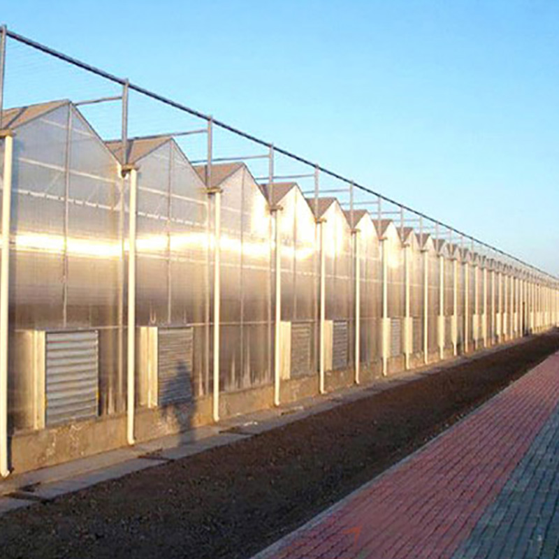 10 years warranty polycarbonate greenhouse