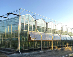Sunlight greenhouse.