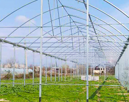 Venlo greenhouse steel structure.