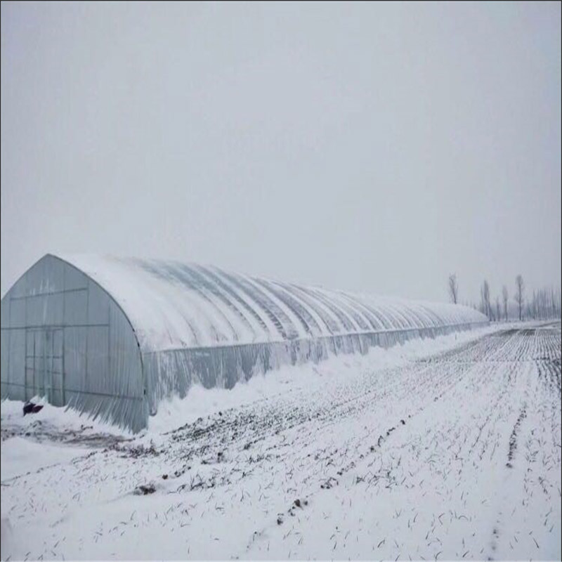 poly tunnel greenhouse for USA market