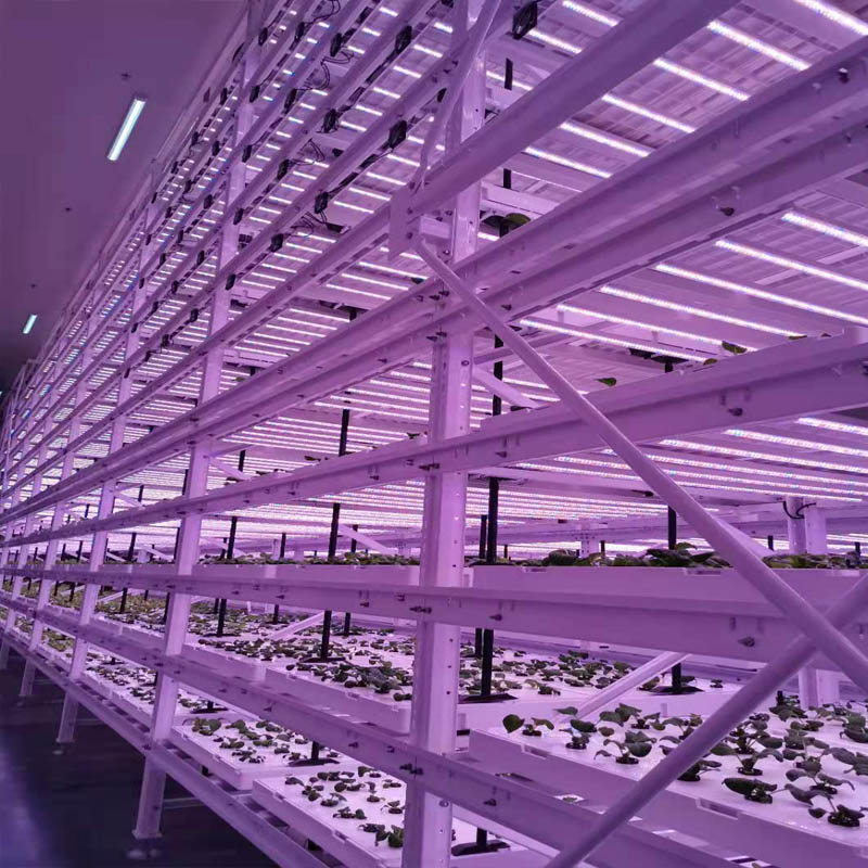 plant factroy vertical farming soilless culture