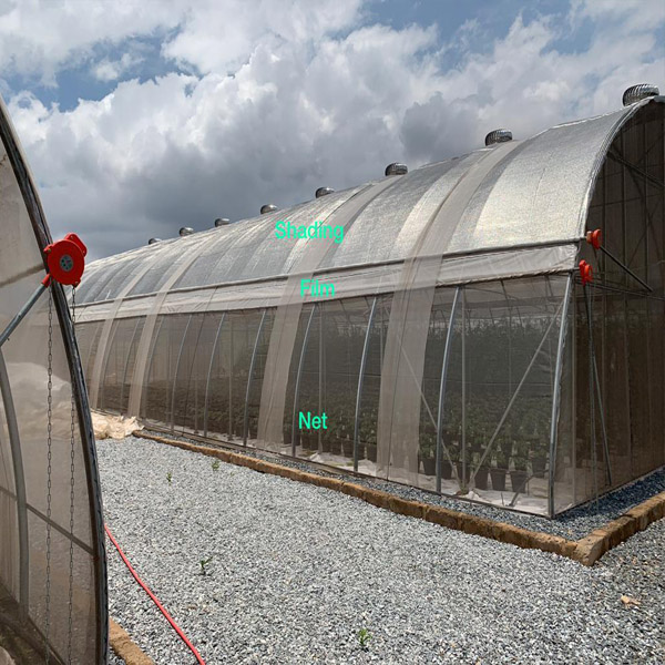 film tunnel greenhouse for Kenya