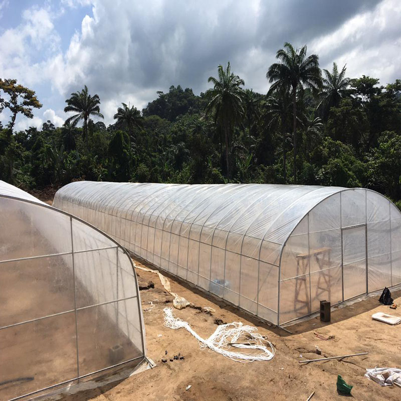 thanks for Nigeria Customer buy tunnel greenhouse