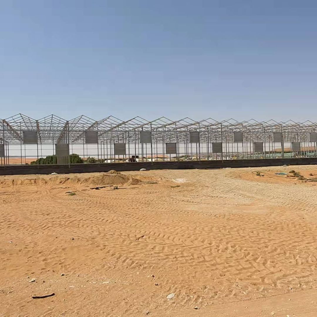 PC greenhouse in Saudi Arabia