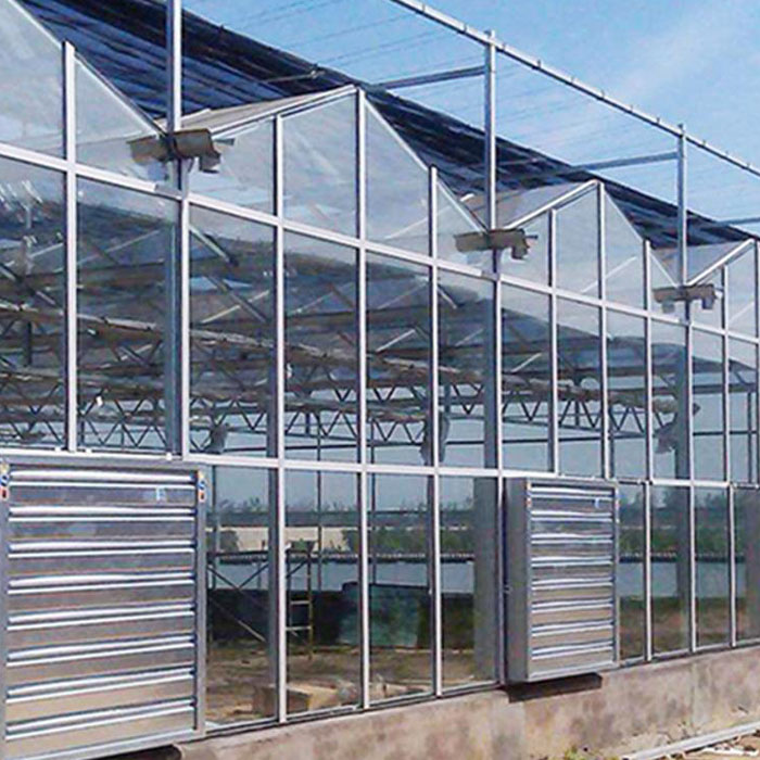glass greenhouse 
