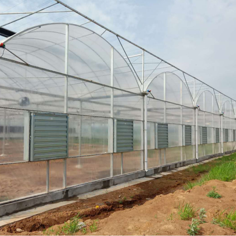 Agricultural Cooperative film greenhouse