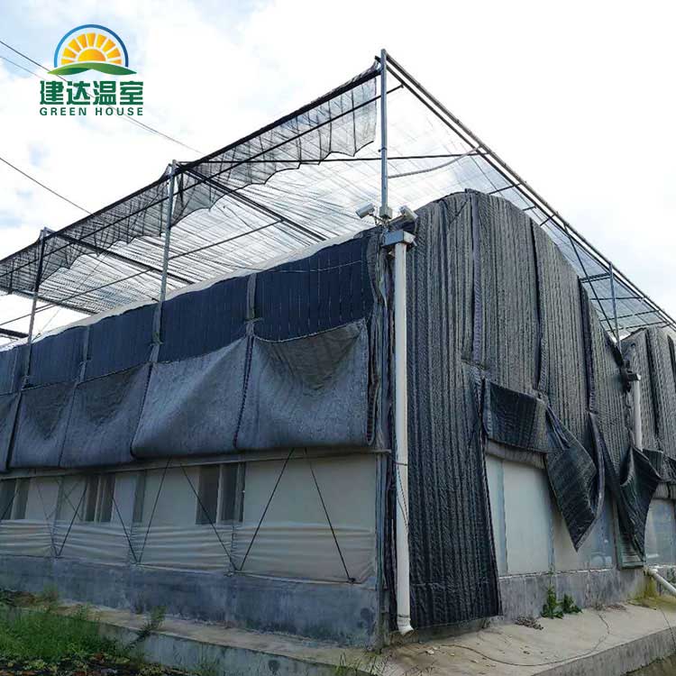 China Greenhouse for vegetable