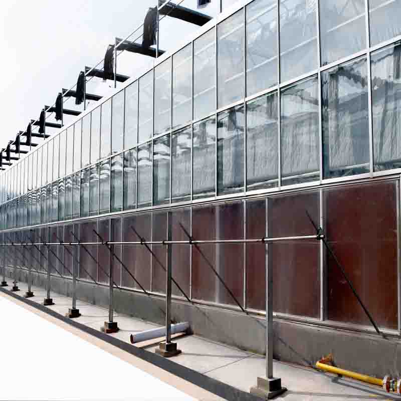 agriculture Holland Greenhouse