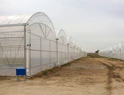 China greenhouse
