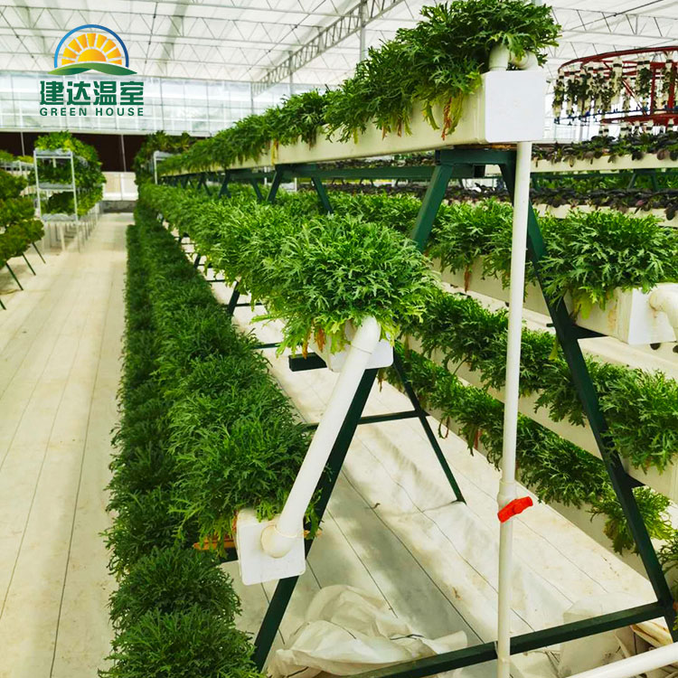 Płaski system hydroponiczny Nft do sadzenia sałaty liściastej