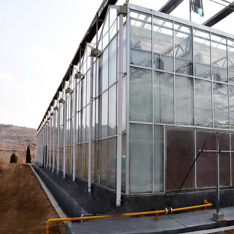 glass greenhouse with irrigation system and vertical NFT hydroponic