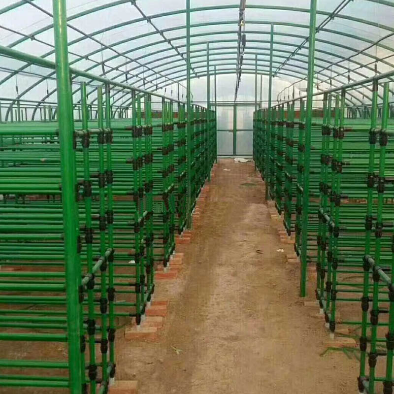 greenhouse for USA