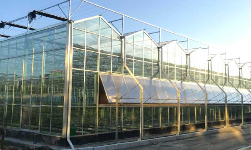 Holland greenhouse
