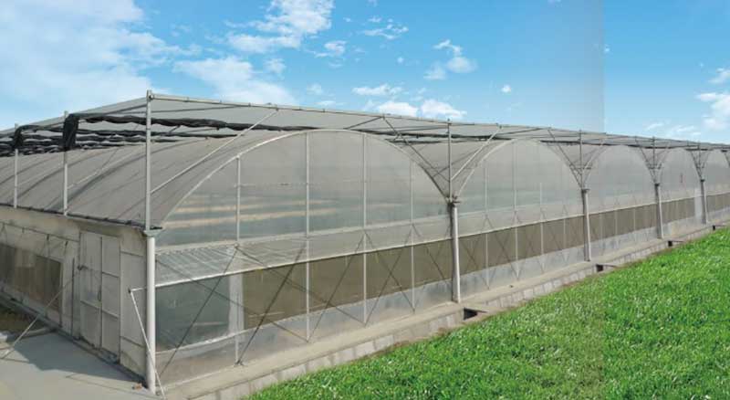 film greenhouse