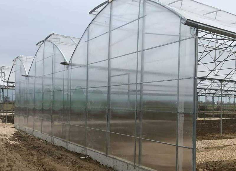 butterfly greenhouse