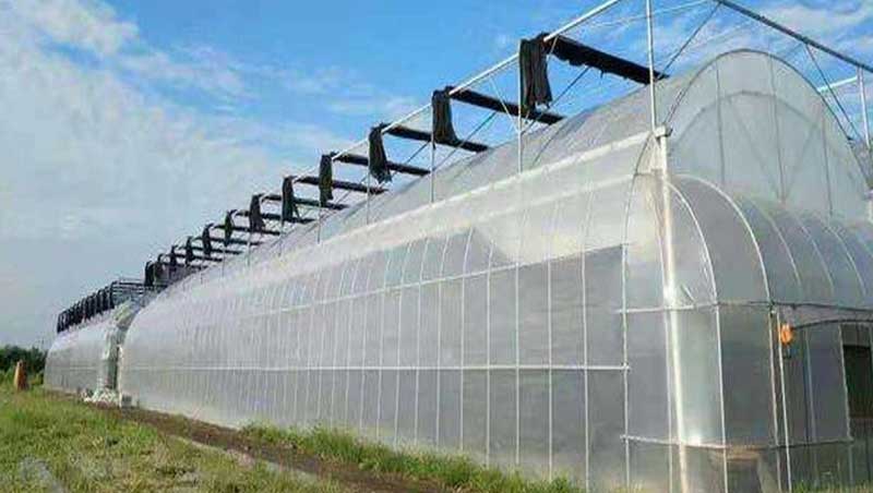 greenhouse shading net