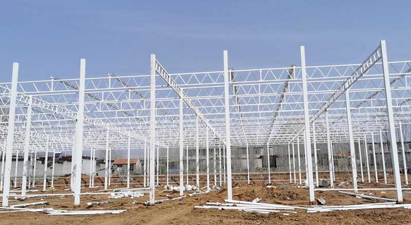 greenhouse structure