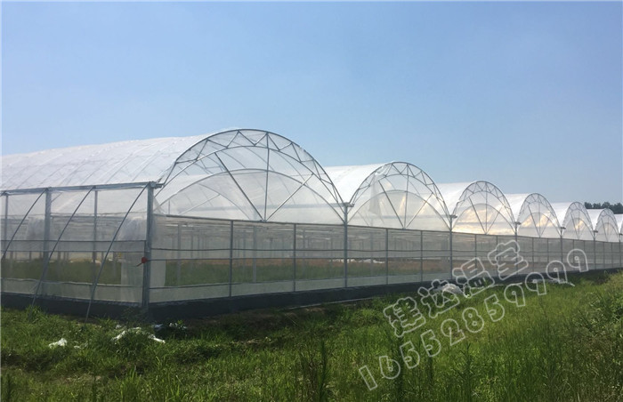 multispam greenhouse