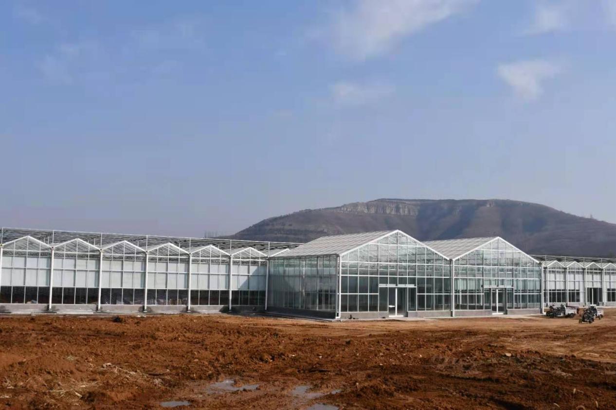 china greenhouse